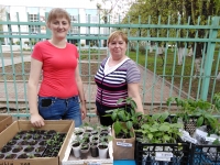 IMG_20190506_150722